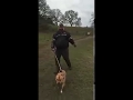 Dog Takes Man For Walk Through Mud