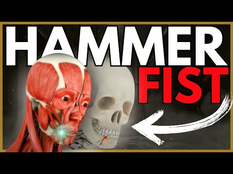 Mastering Martial Art's Ultimate Self Defence Strike: The Hammer Fist
