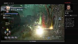 仁王2　初心者プレイ　奈落獄　参加歓迎