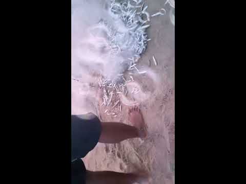 In the beach fishing