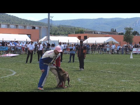 Finale Championat de France en Ring 2024     Winner