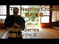 Jinashi Series 22: 鶴の巣籠 The Nesting Cranes Dokyoku
