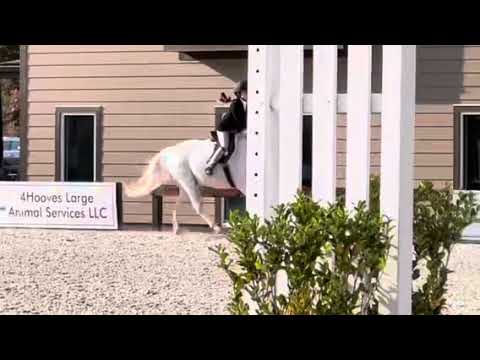 Texas Moonshine video 3