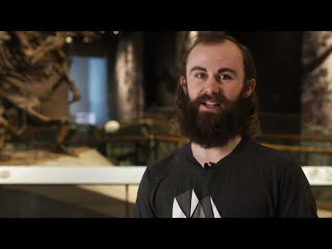 Virtual Field Trip — The Great Salt Lake