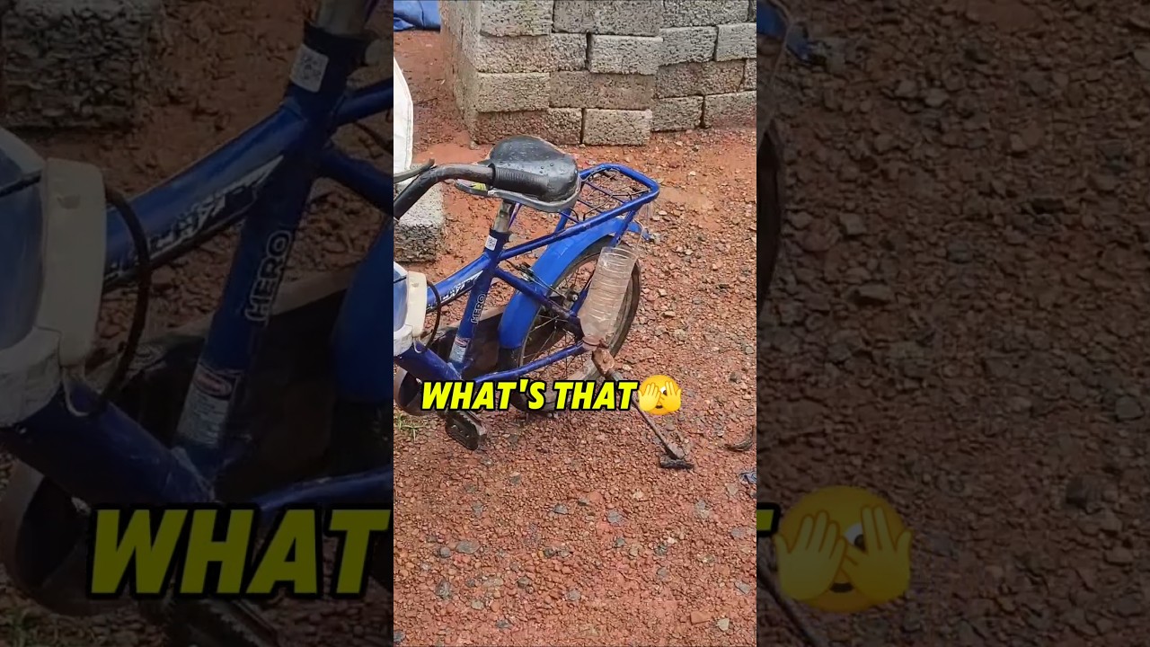 😚ലെച്ചുവിൻ്റെ പുതിയ കൂട്ടുകാരിയും! 🤩 | My Daily Vlog Day-2 ✨#shorts #shortfeed