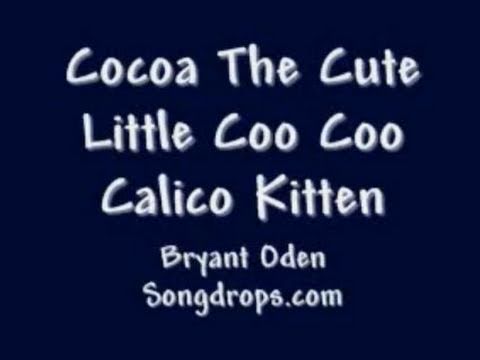 FUNNY Cat Song: Cocoa the Kitten