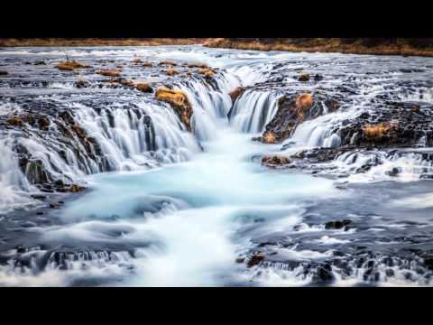 Aunque La Higuera No Florezca video
