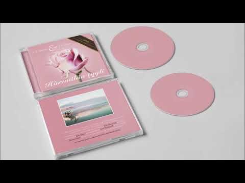 F.E. Stonela & J.P. Ovela - Vittu miten kuumaa