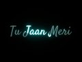 Tu Jaan Meri Tu Dil Hai Ek Villain Returns WhatsApp Status Black Screen Status New Song Status