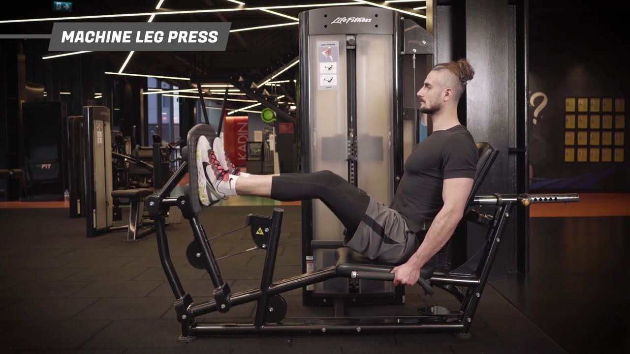 Leg Press