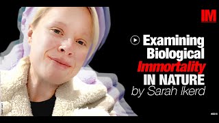 Download lagu Examining Biological Immortality In Nature by Sarah Ikerd # 016 || IM PODCAST mp3 Download lagu Examining Biological Immortality In Nature by Sarah Ikerd # 016 || IM PODCAST mp3