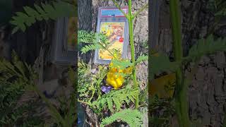 pikachu McDonald's #pikachu #mcdonalds #japan #promo #psa #10 #reels #pokemon #tarjetaspokemon
