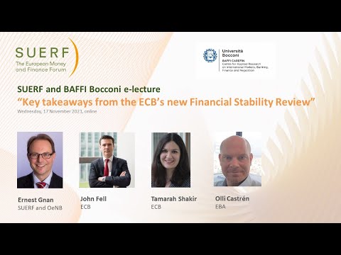 SUERF-Baffi Bocconi - ECB FSR Fall 2021 - Fell Shakir Castren Gnan   202111117