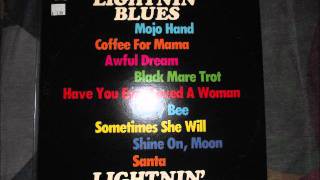 Lightnin Hopkins- Have You Ever Loved A Woman (Vinyl LP)