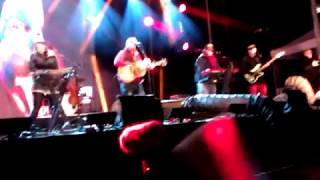 THE STRUMBELLAS YOUNG AND WILD