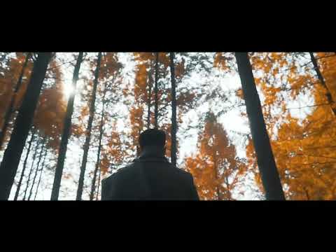 Nigga ( Flex ) - Entre Mis Brazos ( Reggaeton Romántico 2020 )