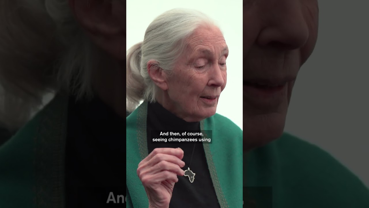 Remembering Dr. Jane Goodall