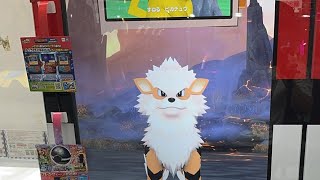 ポケモンフレンダ勉強会夏休み生配信