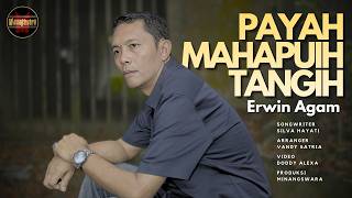 Download lagu Erwin Agam - Payah Mahapuih Tangih mp3
