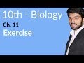 10th Class Biology Biology Chapter No 11 Exercise Matric Class Biology