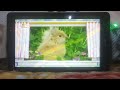 Baby Tv HD The Amazing World Rabbits