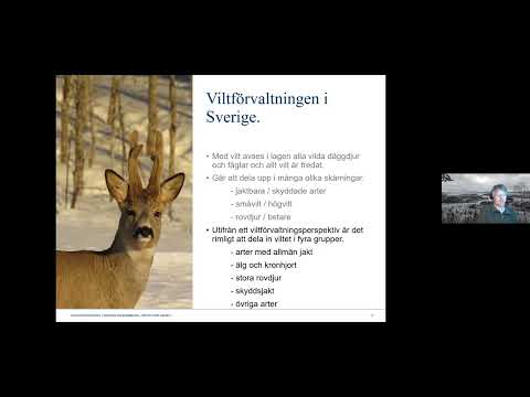 Viltförvaltning i Sverige – vem gör vad