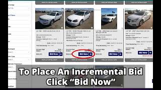 How To Bid