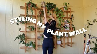 Styling My Newest Houseplant Installation 🪴