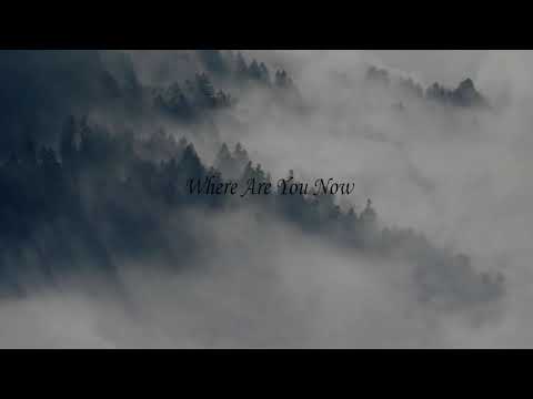 Lost Frequencies ft Calum Scott - Where Are You Now (Slowed + Reverb)