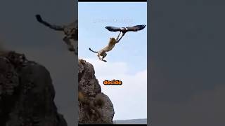 Animais que a natureza pregou uma peça CRUEL #curiosidades #bichos #animais