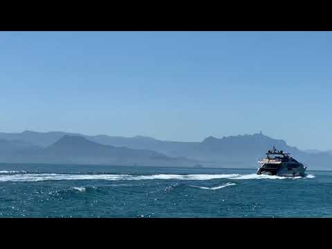 Olha o iate do Roberto Justus! 🐬