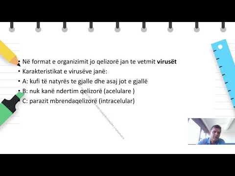 Viti II - Biologji - Organizimi i formave joqelizore
