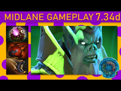 ✨Quinn Necrophos 84% Kill participation! Mid Gameplay - Dota 2 The International 2023