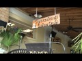 Exploring Downtown Mount Dora FL