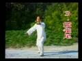 正宗楊式太極拳，粵語版,25年前，中國華藝代制作