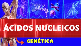 ÁCIDOS NUCLEICOS (ENSINO SUPERIOR) DNA E RNA - ESTRUTURA E FUNÇÕES - GENÉTICA HUMANA