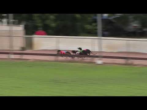 Darwin-21022021-Race-1