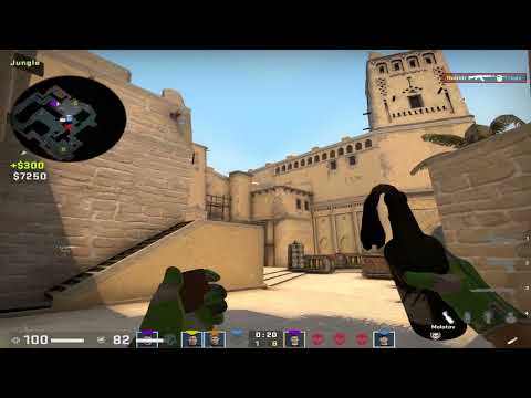 CSGO POV Players HObbit (24/10) vs FaZe (mirage) @ ESL Pro League Season 15