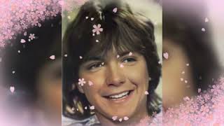 DAVID CASSIDY TRIBUTE-SHE’D RATHER HAVE THE RAIN
