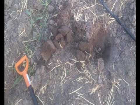 Moje Wykopki Odc 211 (SE03 E11)