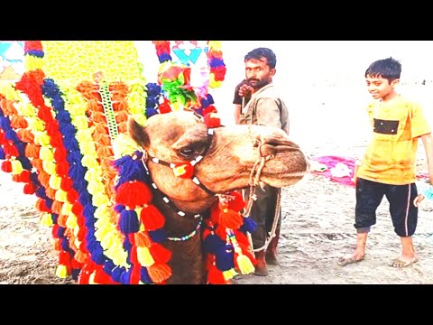 Karachi sea view|| vlog|| sea side|| Karachi sea view ki sair|| ساحل سمندر