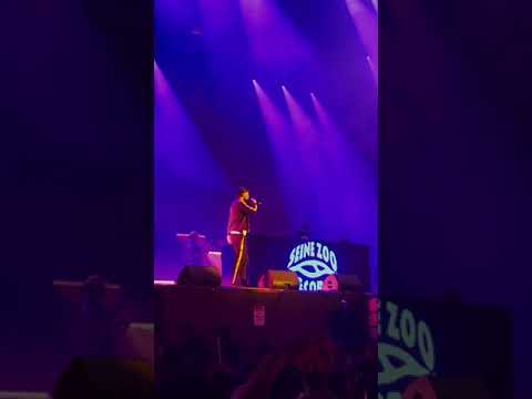 Exclu Framal et Mekra - Lollapalooza Paris 2019