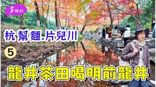 【杭州賞秋】3公里遊步道🍁紅葉由頭紅到尾💖杭州人魂牽夢縈的杭幫麵片兒川🤩龍井茶田喝龍井茶➕九溪十八澗➕九溪烟樹