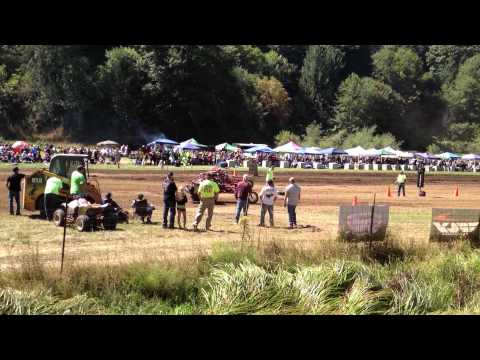 VW wheel stand ended in a drama queen dad