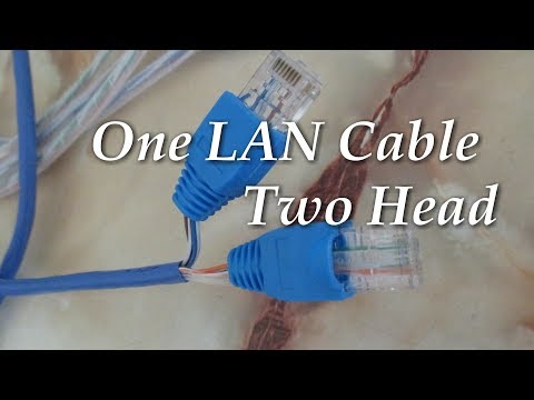 How To Crimp Repair Lan Ethernet Cable (Cat5e) Split RJ45 Connector Share to Two Laptop System