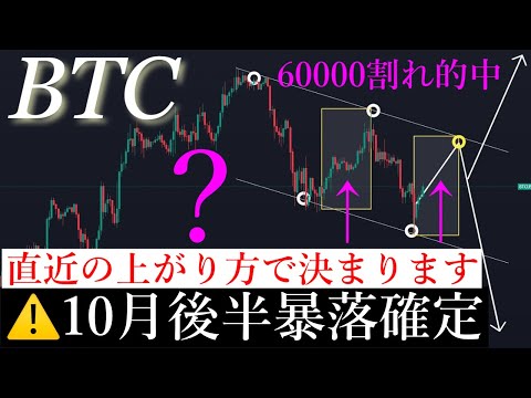 ビットコイン暴落が先か?金融専門家が今後何が起こるかを警告