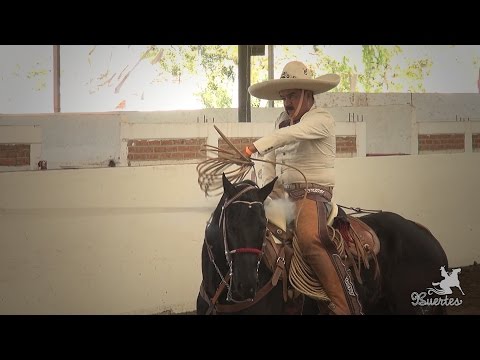 1st place PIALES ON THE CANVAS Enrique Ramirez Perez - RVO Queretaro Family Championship 2017