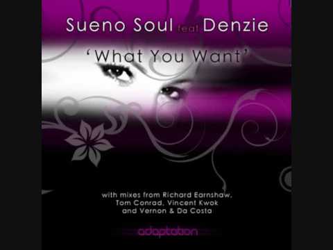 Sueno Soul ft Denzi - What You Want (Richard Earnshaw Remix)