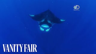 Racing Extinction Exclusive Clip: A Connection Between a Manta Ray and a Man