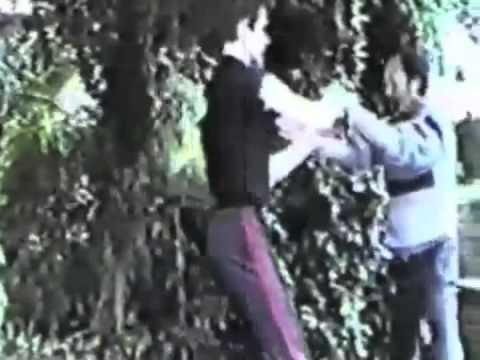 In memory of Master Wong Shun Leung.